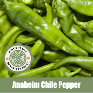 Anaheim Chile Pepper